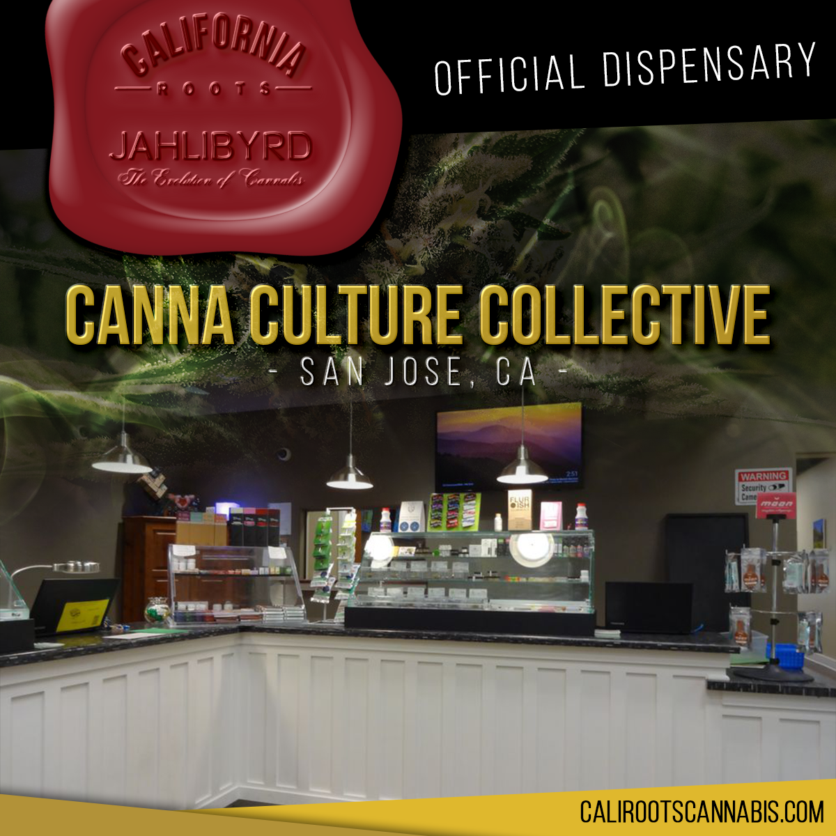 CaliRootsCanna's tweet photo. 🔊SAN JOSE!!! We're excited to announce @CannaCultureSJ  is an official California Roots Cannabis dispensary! #CaliRootsCannabis #Jahlibyrd @jahlibyrd https://t.co/T49jNkTmMq