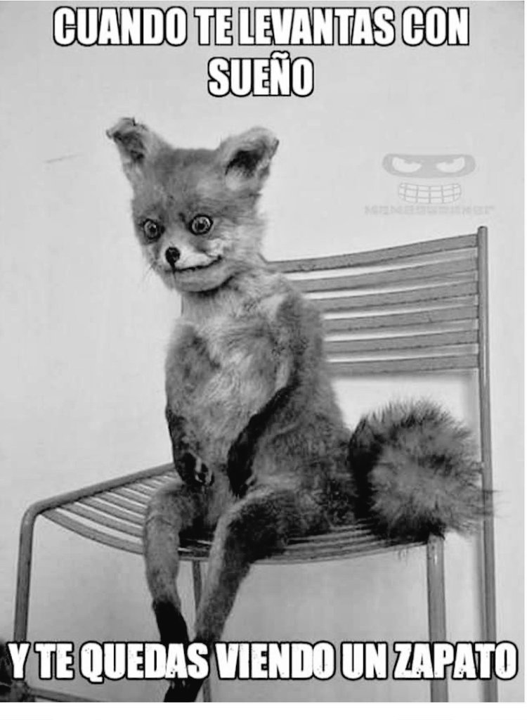 El padre Grako tweet media