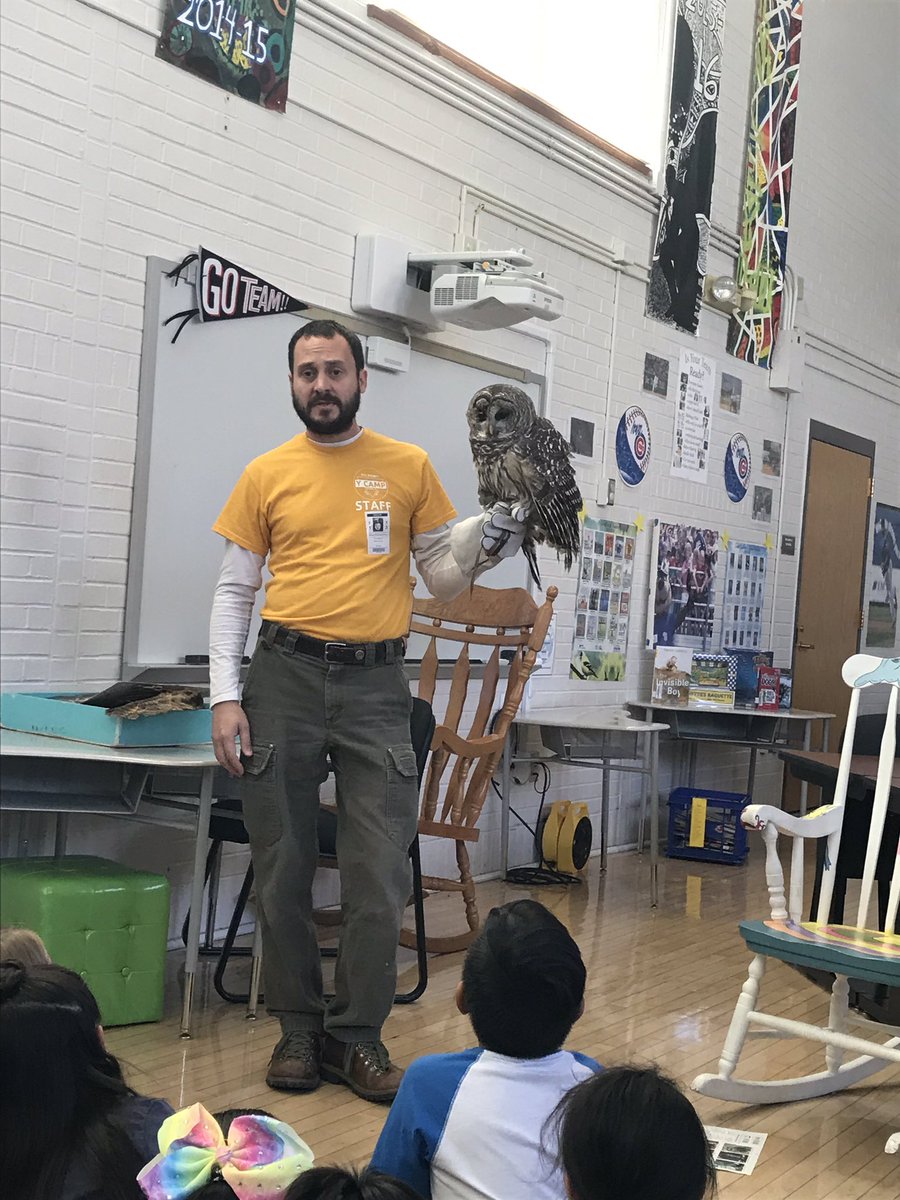 nelsen_sarah's tweet image. 2nd graders and preschool got to learn all about owls this morning. They did an amazing job listening, learning, respecting materials and asking questions!
#magicoflearning #mckinkeytweets #16