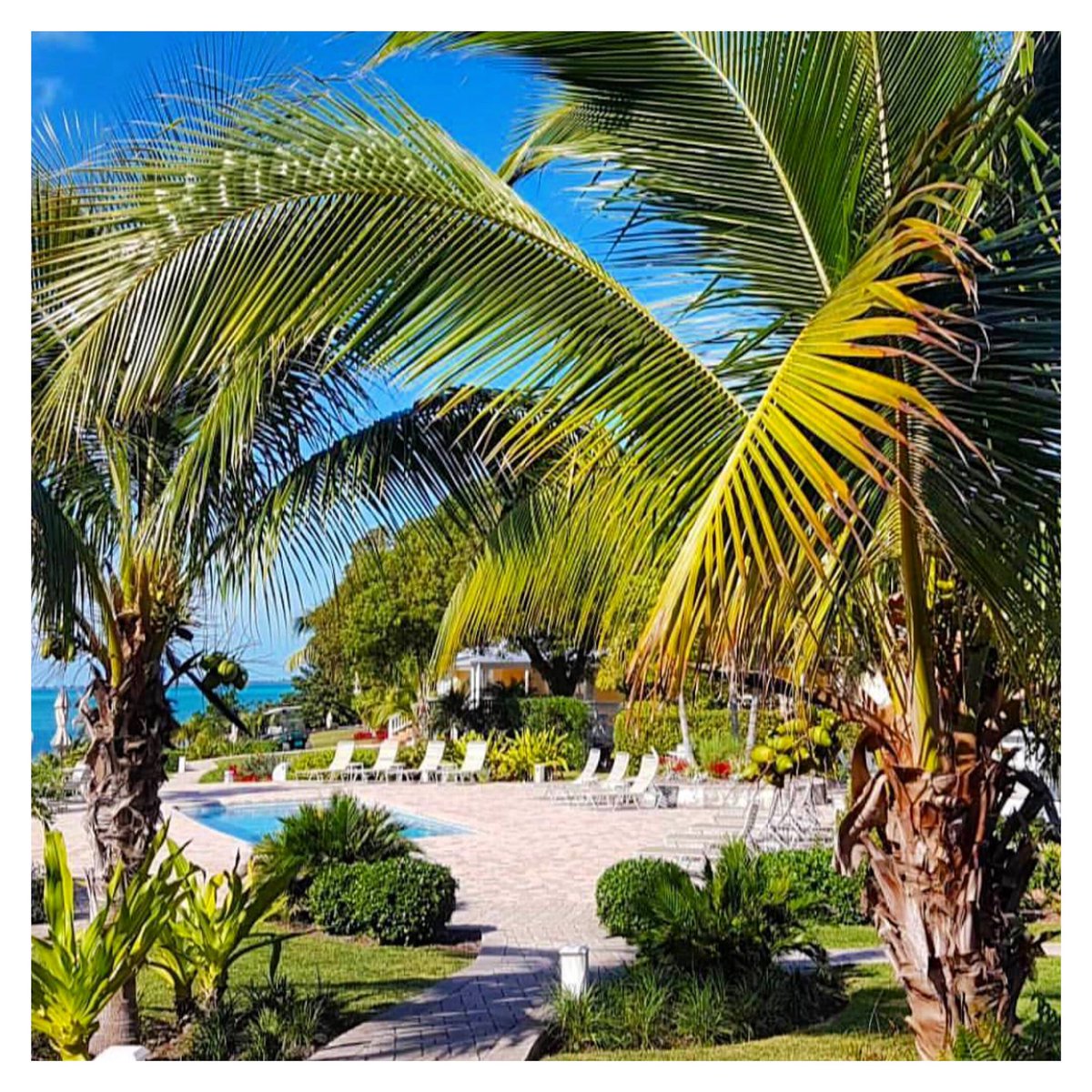 StrongBoalt's tweet photo. Firefly on our minds 🌴 Shop Strong Boalt at @fireflysunsetresort #sbresorts https://t.co/Q45Ny2N6zT https://t.co/Ra9R7LGlV6