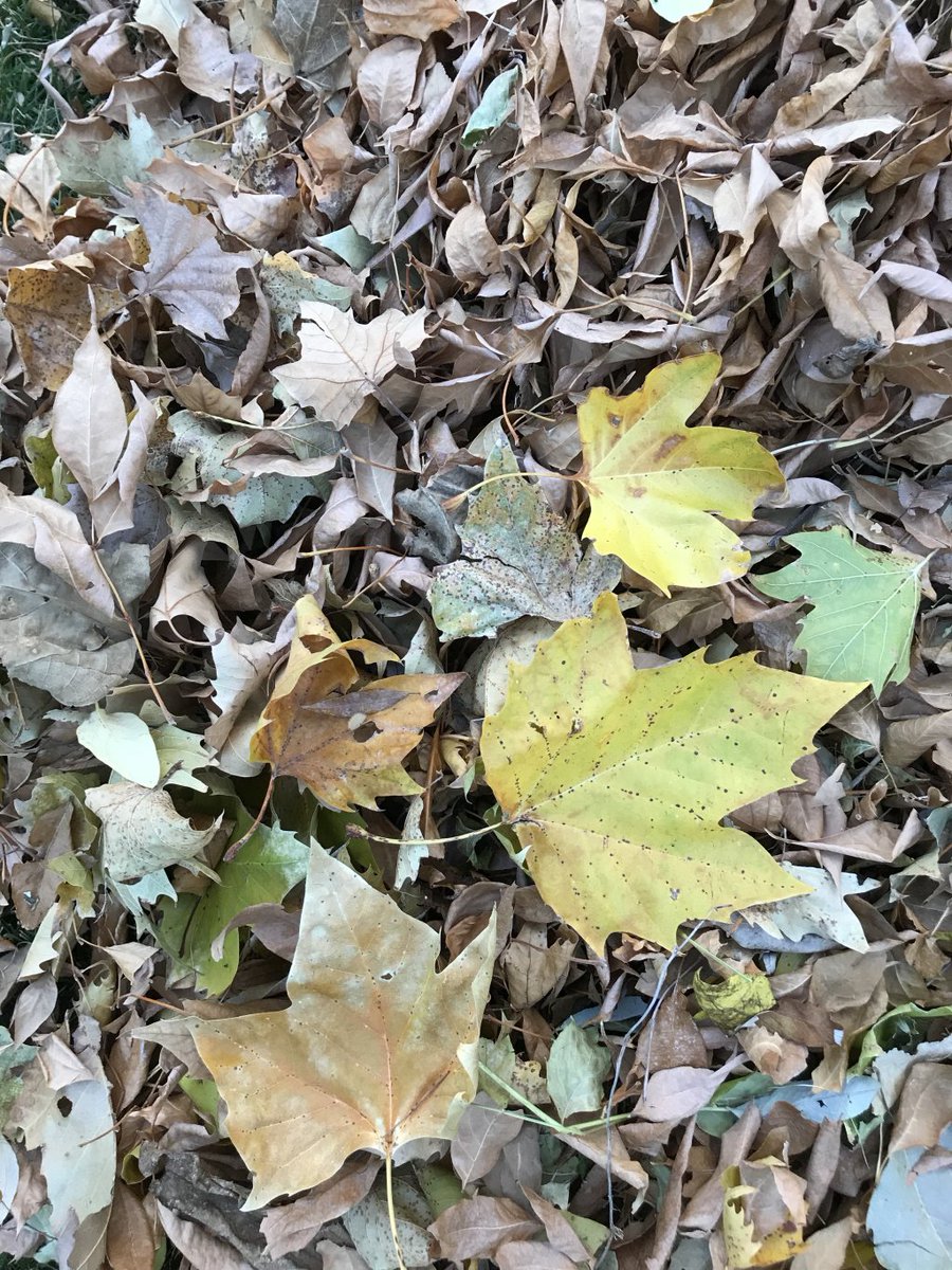 prayrunrepeat's tweet image. How Can I Help? pray-run-repeat.com/2018/11/13/how…