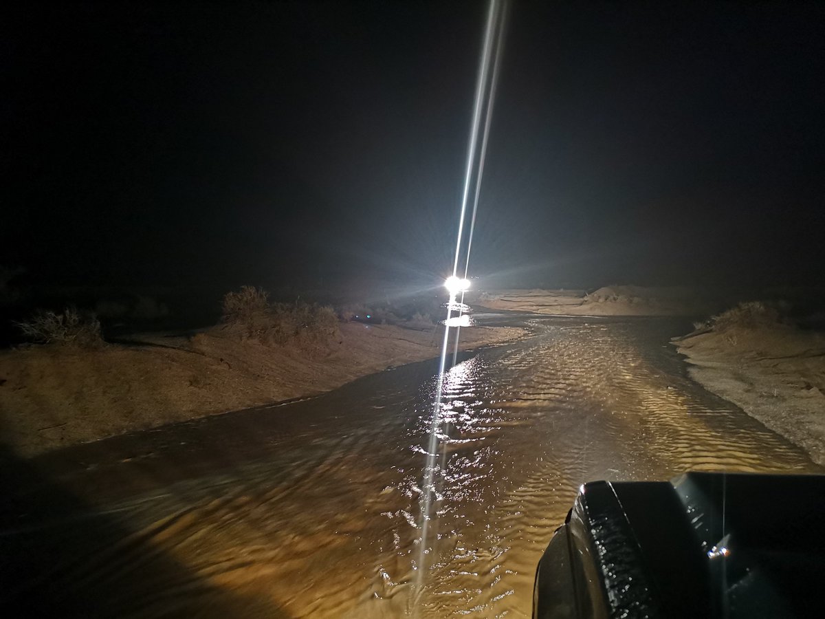 Hake6000's tweet image. شمال غرب الذيبيه 10ك العقلان الشغايا الكبار تمشي

 غرب #القصيم