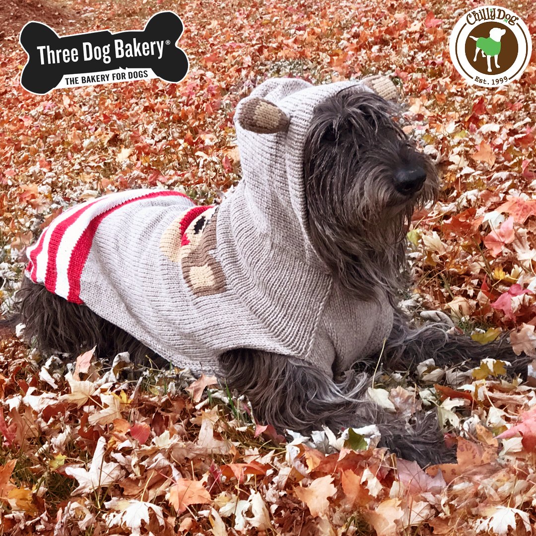 Brrrrrrr....

It's getting chilli out here at the Valley. If you're taking your furry friend out for a walk, make sure you dress them appropriately.

#threedogbakery #thanksgiving #dogs #familypicture #treats #dogbakery #petstore #lasvegas #november #petsoflasvegas