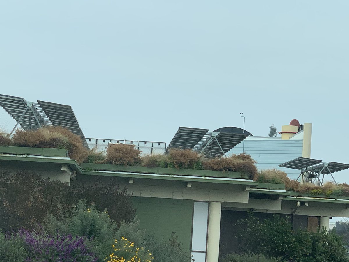 sean_jazayeri's tweet image. Can’t believe this installation is up to code. Would love to see SEOR’s load calculations. How are the modules grounded?  #BuildingCodeMatters #NEC