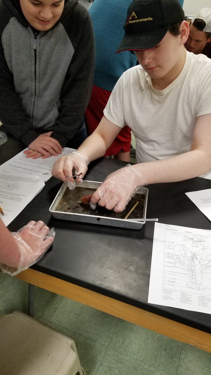 Finally, the highly anticipated dissection labs! #livingenvironment #naplescsd