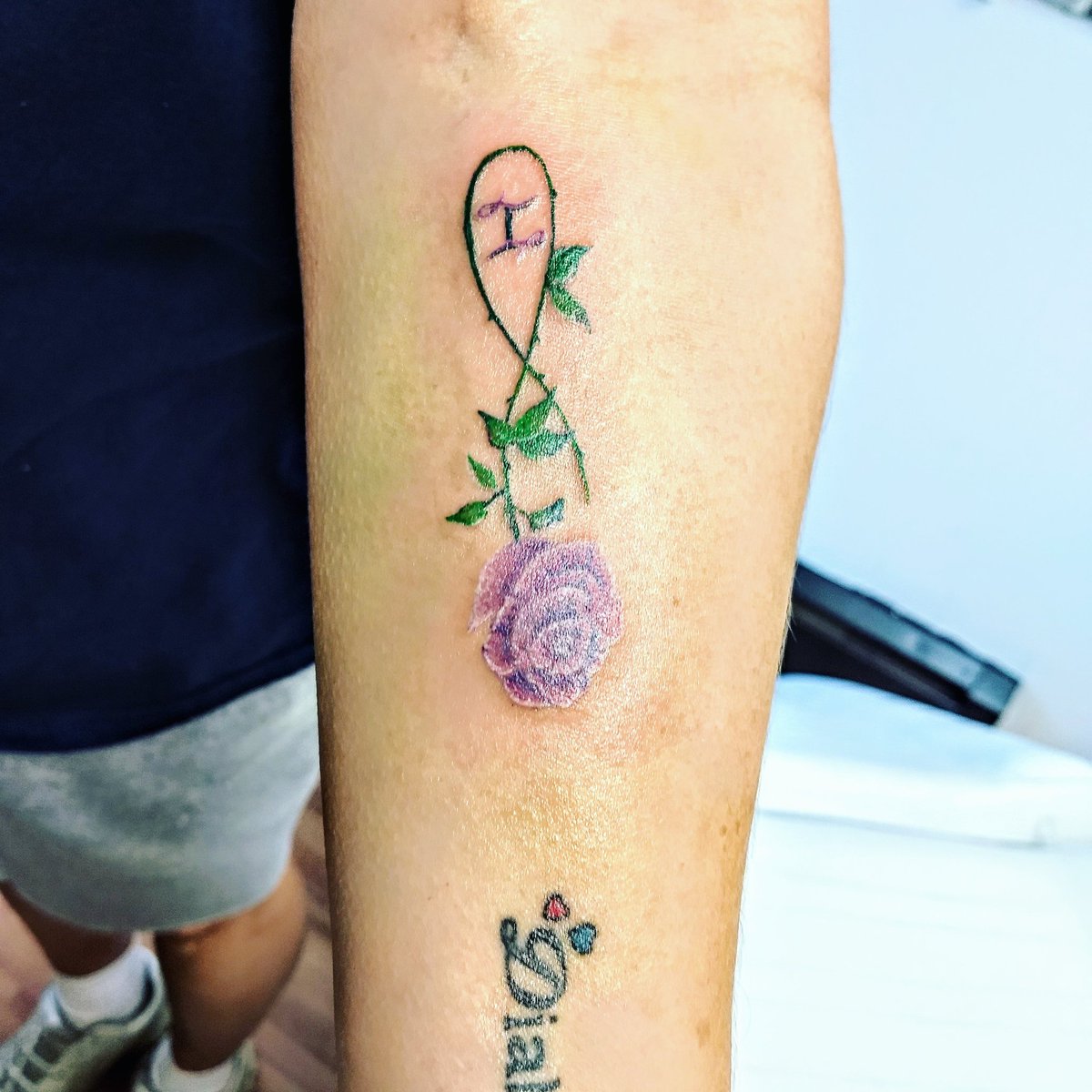SarcalAsphyxia's tweet photo. #rose #rosetattoo #tattoo #femaletattooartist #imageinink #Mansfield #mansfieldohio #ohio https://t.co/2DcF488dLN