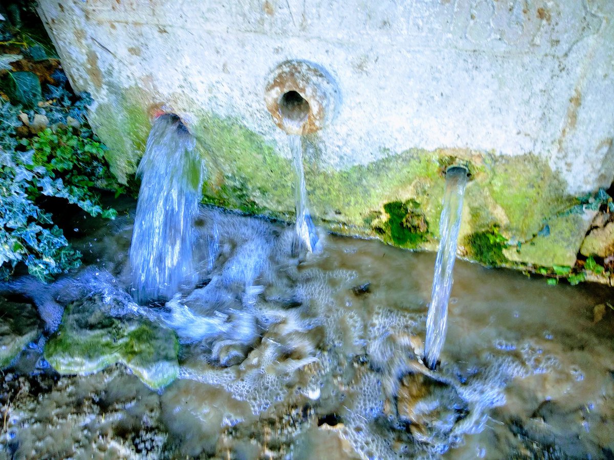 dvidalverdes's tweet photo. La font de la Puig, a #Massoteres, a raig fet per les abundants pluges d'aquesta tardor https://t.co/Im6wPhrQA5