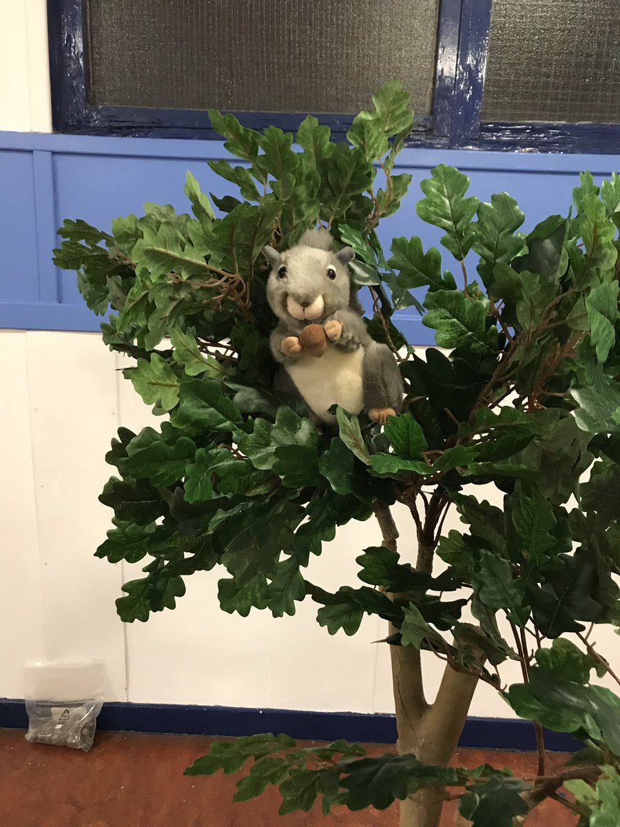 3rd Fife Scout Group tweet media