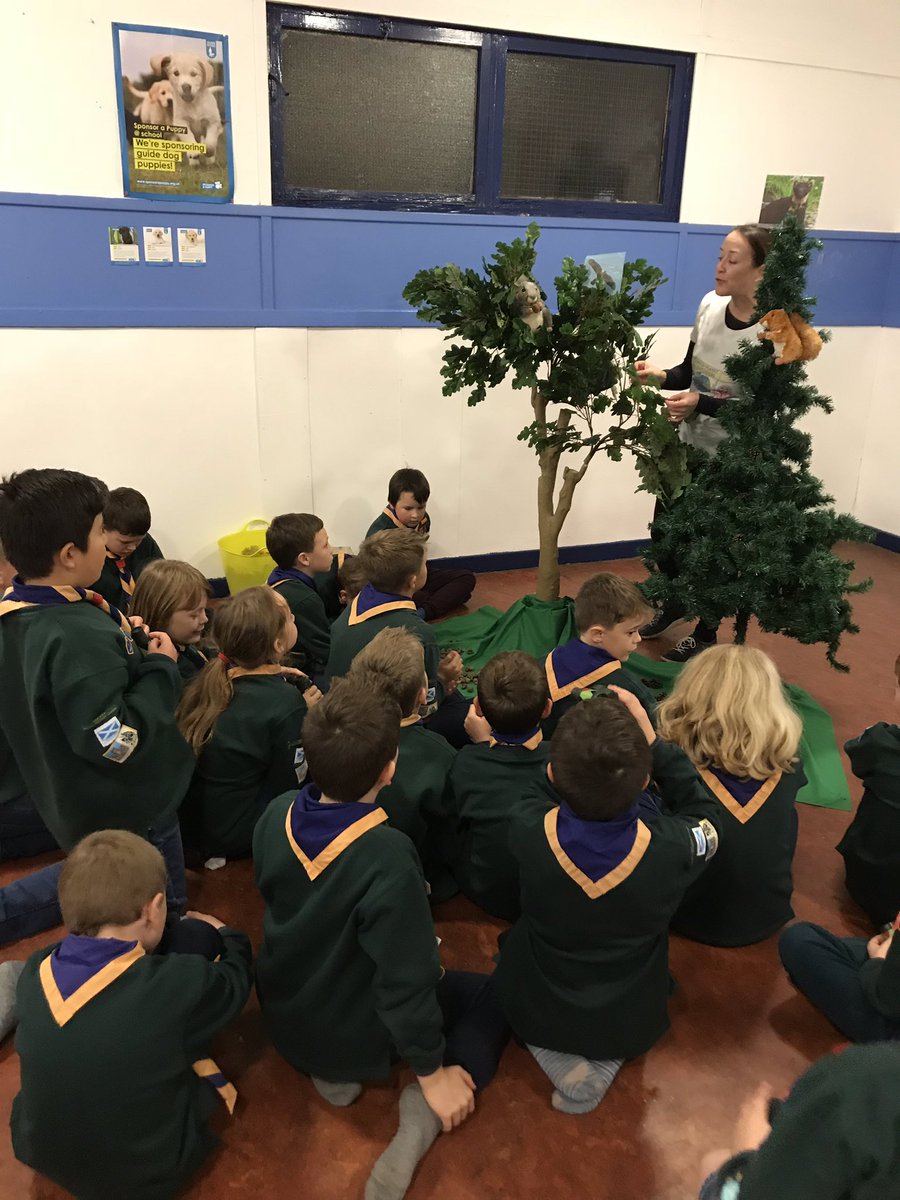 3rd Fife Scout Group tweet media