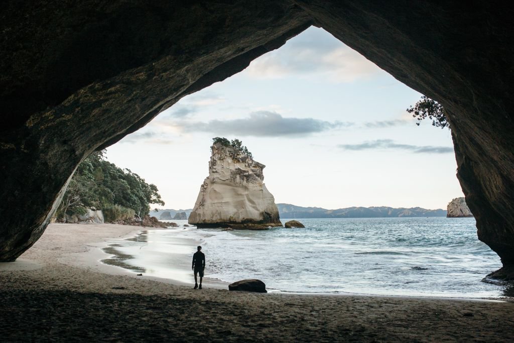 Ciara_Menzies's tweet photo. So I'm like 'Is this real life Jurassic park!?'
 #newzeland #visitnewzeland #southernhemisphere #beachlife #canthelpmyself #neverstopexploring #livingslow #documentary #womanphotographer #femalephotographer #visualstories #visualstory #photojournalism https://t.co/CG2oz2N4sE