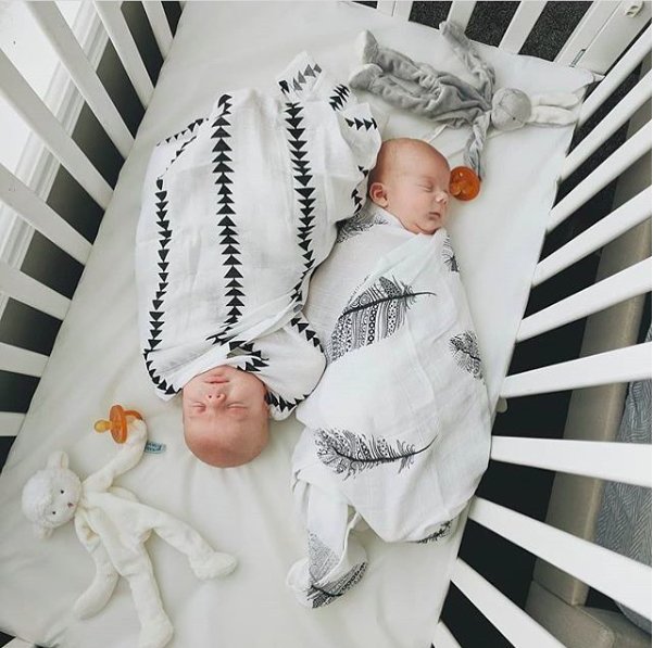 Kaydee Baby Organic