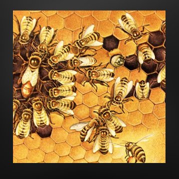 #RSM is housed in the Mandeville building, named after the Anglo-Dutch philosopher Bernard Mandeville (1670-1733), famous for "The Fable of the Bees", a work on the public benefit of private vices.  Here is a most insightful #BBC podcast on Mandeville: bit.ly/2TcqAGQ