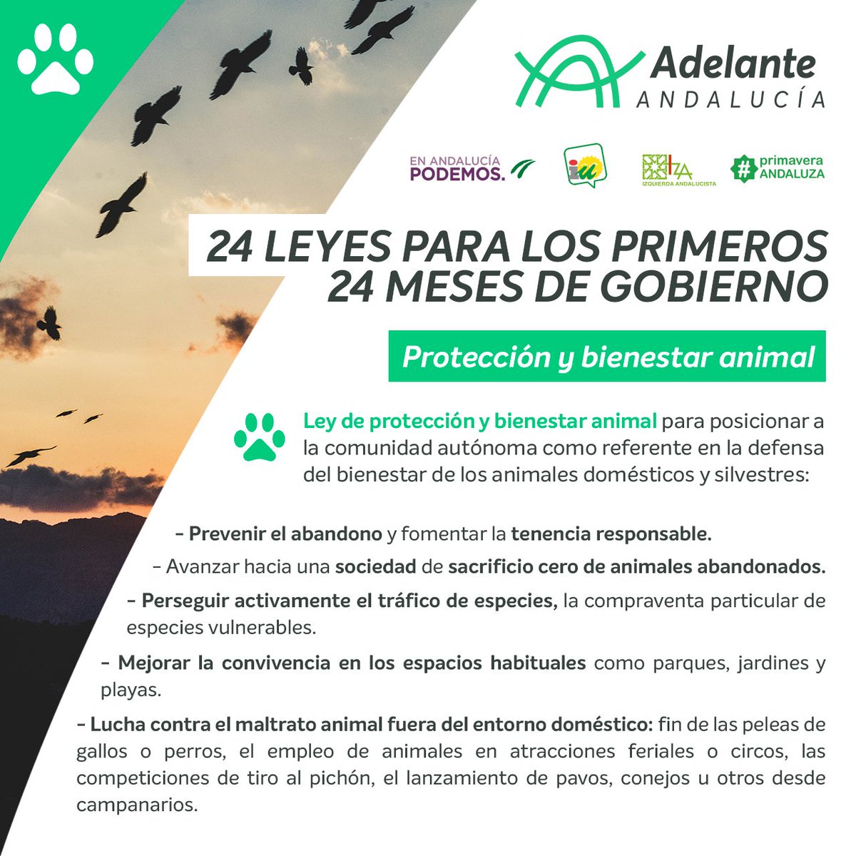 AdelanteAND photo
