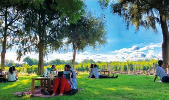 #CAVA Festival del Vino hecho en México se prepara para su edición 2019... ¡Espera noticias muy pronto!