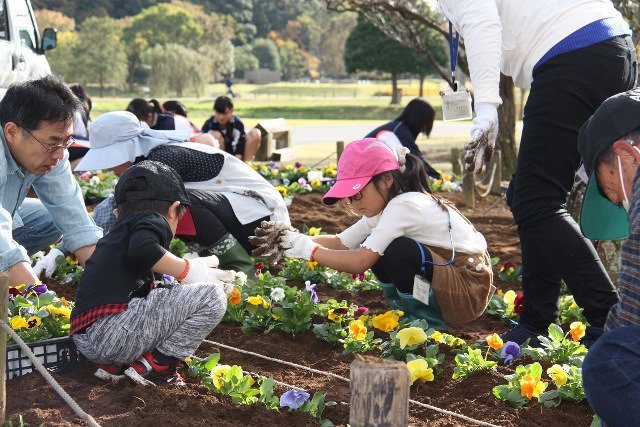 水戸女子高等学校 水戸女子高等学校