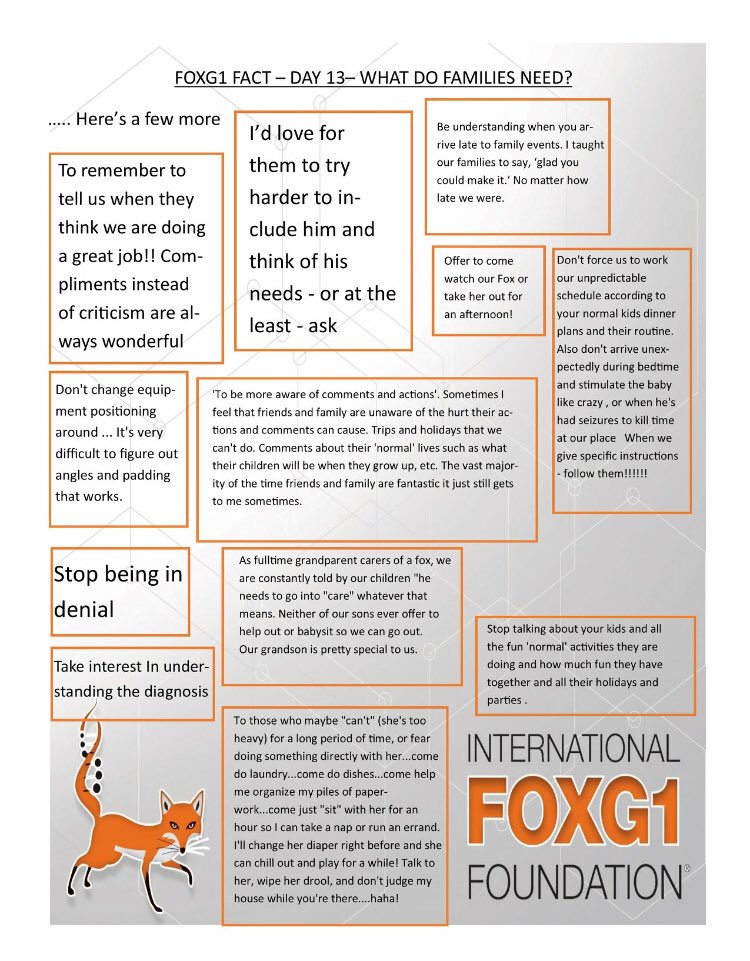 IFF FOXG1 (@iff_foxg1) on Twitter photo 