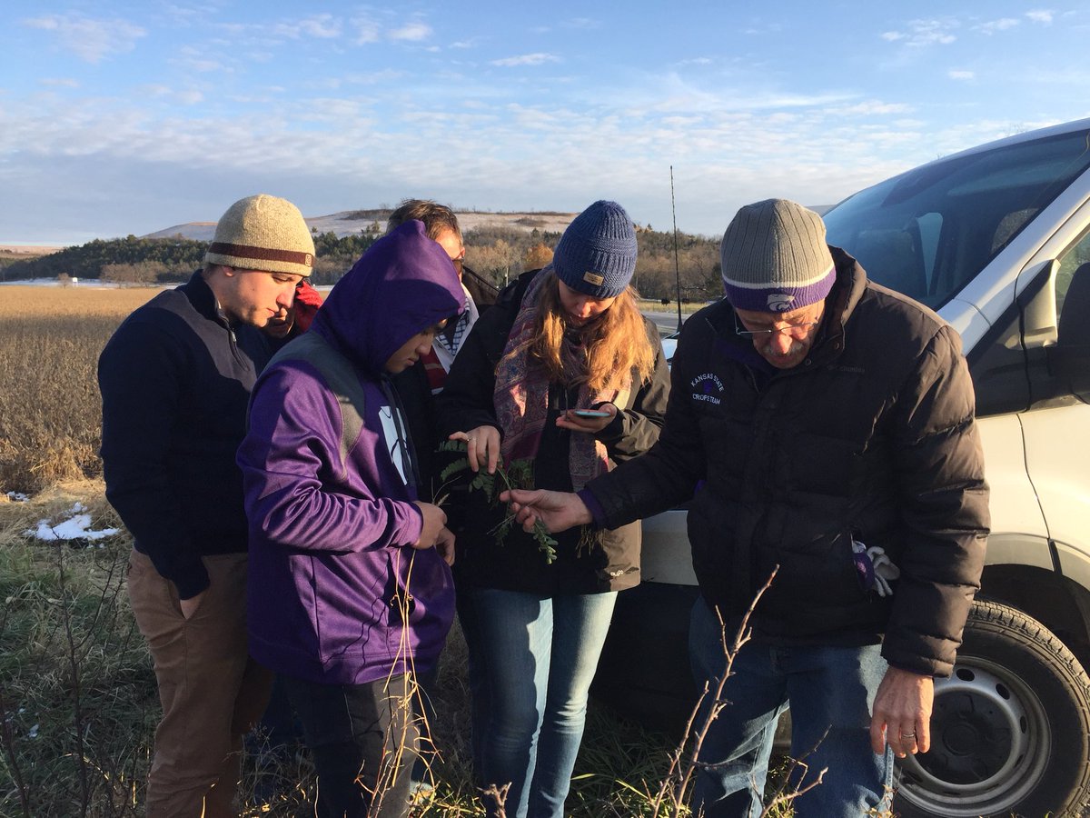 bec1wilde's tweet photo. @GrainGrowersLtd Australian Universities Crops Comp winners and USYD students are into their 1st exam in Kansas City, US. We’ve been here for a couple of days learning the native weeds &amp; diseases as well as touring Kansas State Uni. It’s even snowed twice since we’ve been here ❄️ https://t.co/8iKA0ByrQi