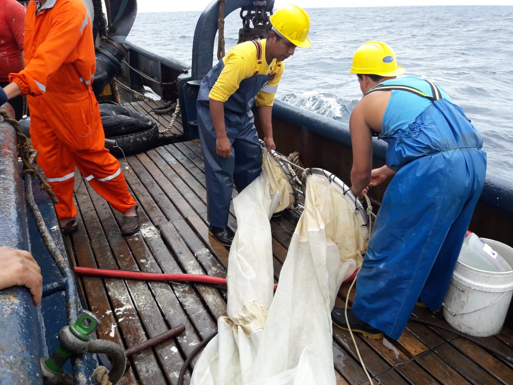 IpiapEcuador's tweet photo. Tripulación del B/P #Simy5 de #PesqueraCentromar, colabora con los técnicos del @InpEcuador durante la ejecución de la estación Oceanográfica que se encuentra frente a #PuertoCayo. Se lanzó el CTD así como también redes para obtener muestras de ictioplancton #InpInvestiga https://t.co/i6ThNcNuyA