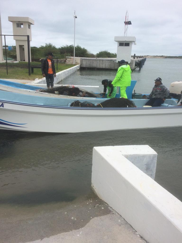 #LenteMagazine (Combate Gobierno de Tamaulipas pesca irregular)- lentemagazine.com/combate-gobier… #Tamaulipas #Tam #TAM