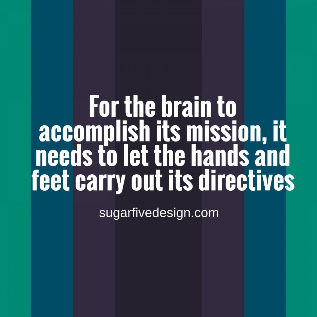 sugarfivedesign's tweet photo. For the brain to accomplish its mission, it needs to let the hands and feet carry out its directives. #atlantawebdesign #sugarshot #marketing https://t.co/D1TIKCoVZW https://t.co/srdiFmPwRc