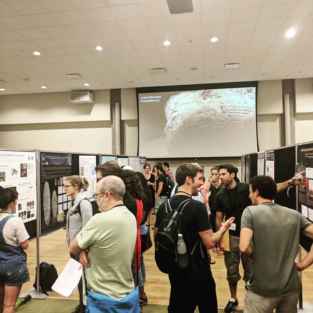 CIAC_2018's tweet photo. Share your research! Use @ciac2018 or #CIAC_2018  to tag images of your posters, QR codes and pictures with friends and colleagues to have them shared. https://t.co/WEU8b0E18K