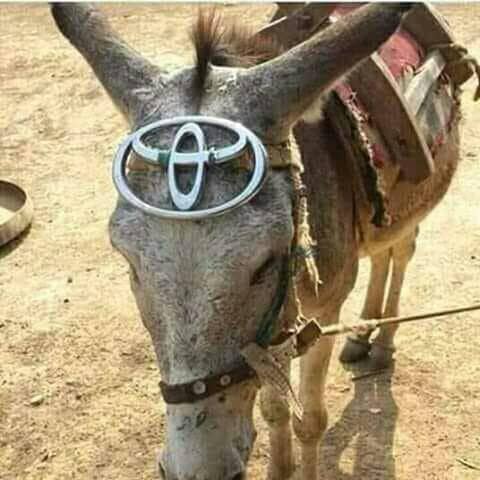 caesarzvayi's tweet photo. Kupfuma ishungu ... Good morning. https://t.co/0L1NQt3lee