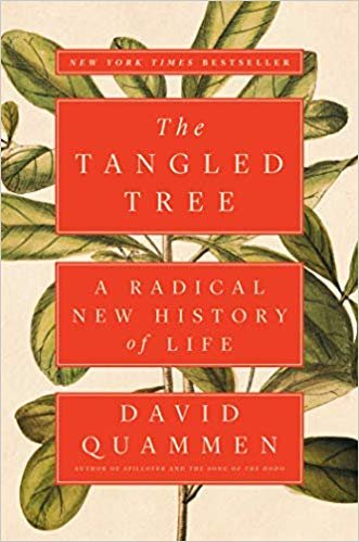 katzyna's tweet photo. @johnupton @NatureComms @uniofeastanglia @usatodayweather Not out of realm that beetle sperm decline - under #ClimateChange - forecasts that of other taxa including us. Wonder what @DavidQuammen #TangledTree would say. #heatwave #sperm https://t.co/4ZFDyH0JLe