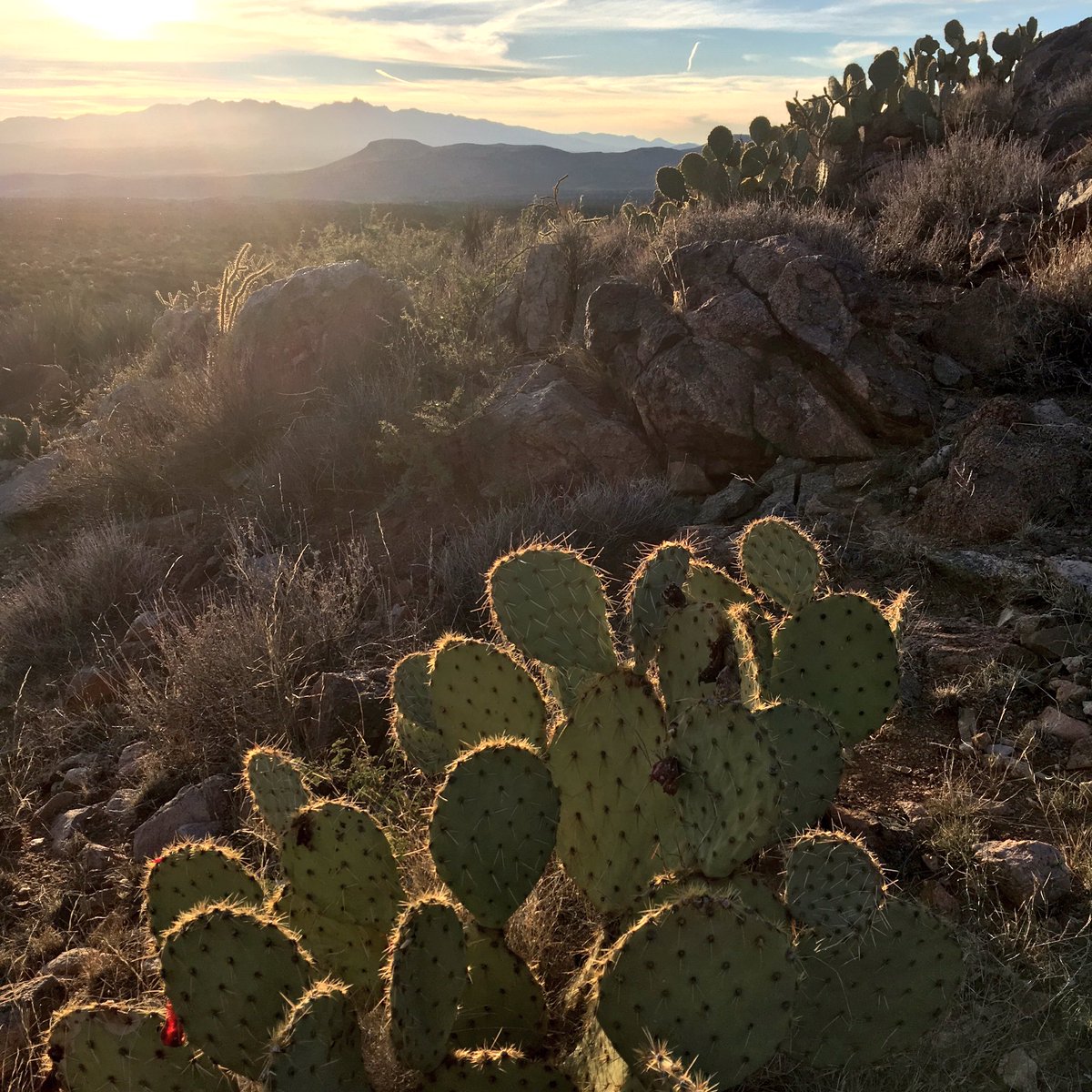 mtbogan's tweet photo. Lovely sunset in Mohave County tonight on our way to Death Valley for #2018DFC https://t.co/Jb5Inx7ptG