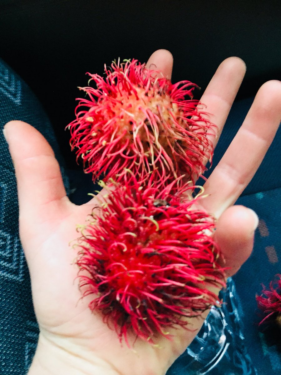 TheWonkyParsnip's tweet image. 