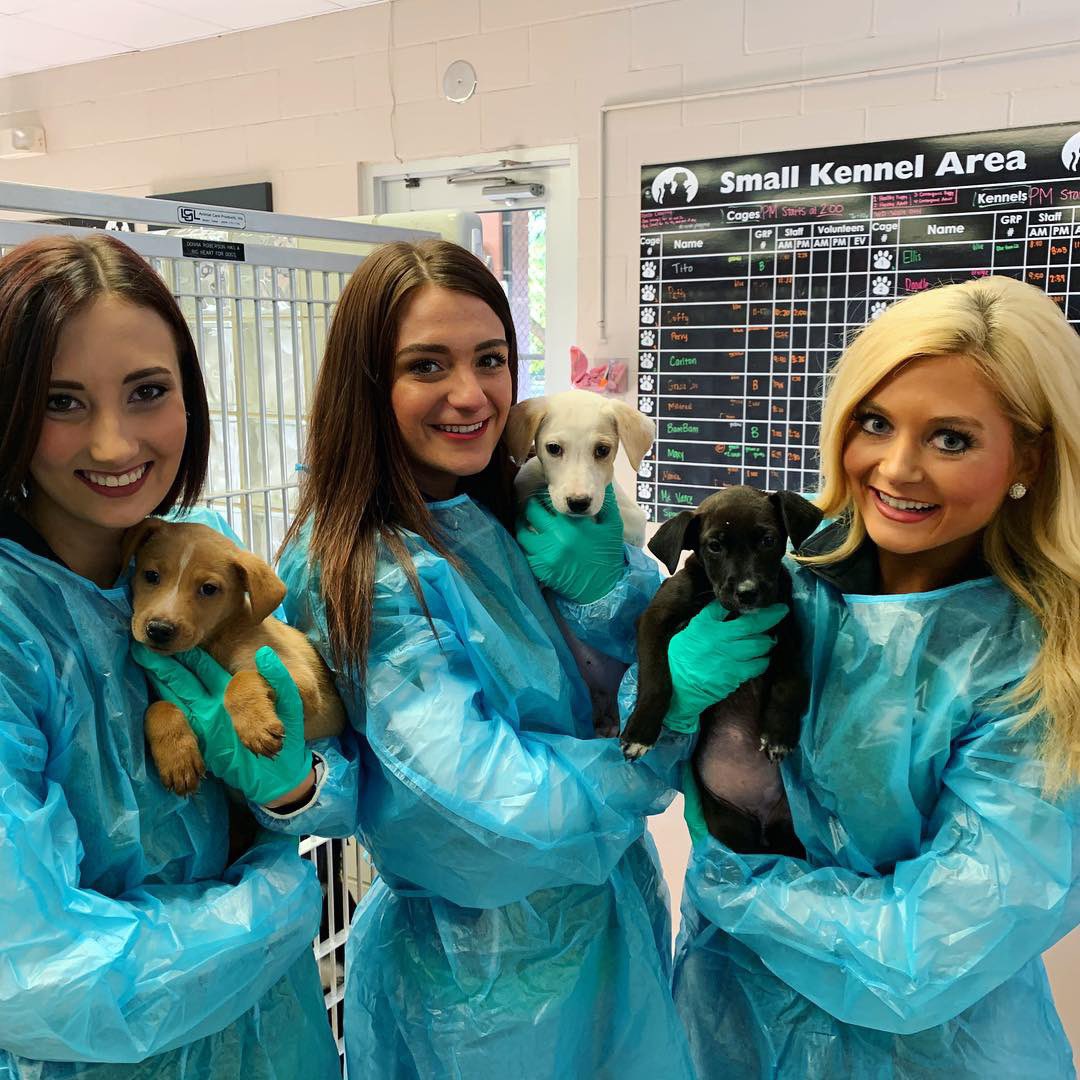 StarsIceGirls tweet picture