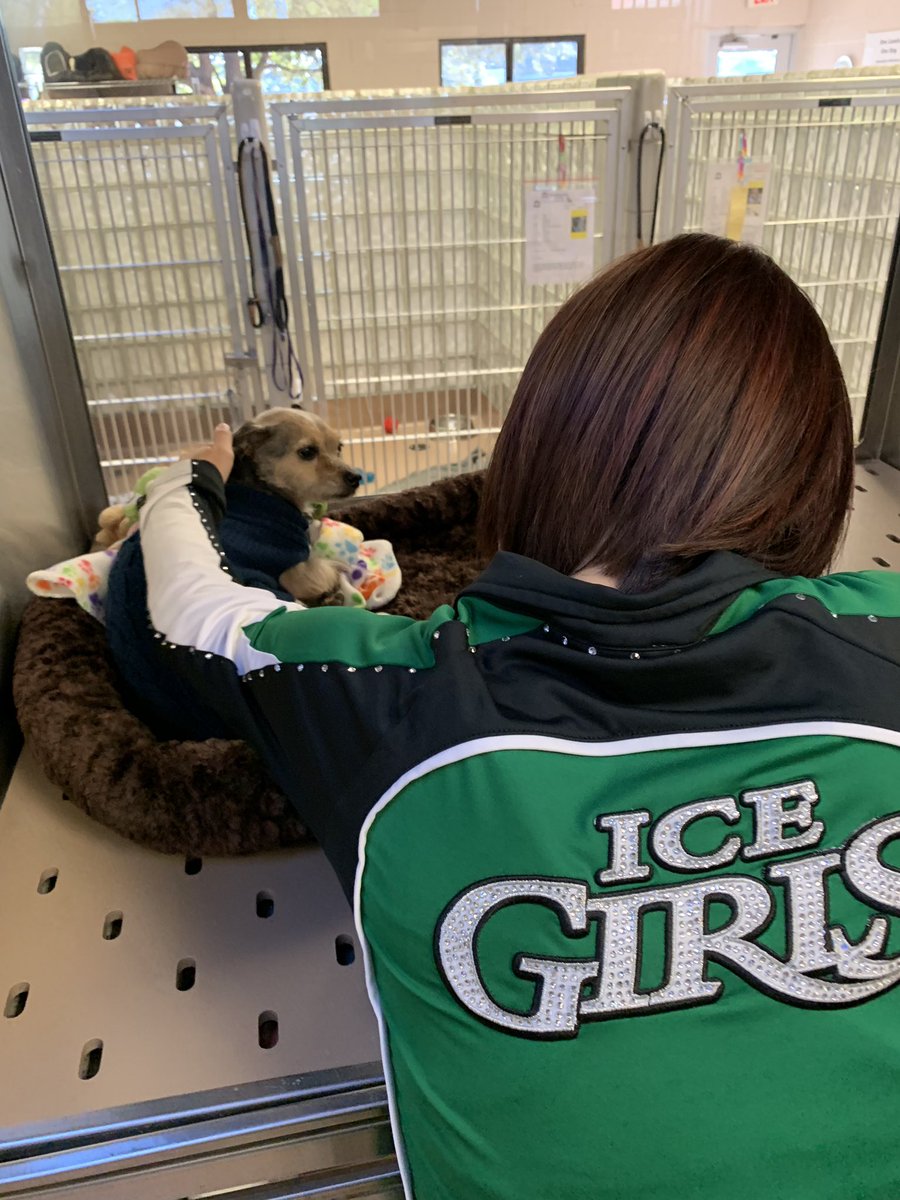 To celebrate World Kindness Day we volunteered at a local animal shelter! A huge thank you to @operationkindness for letting us spend time at your facility! 🐶❤️🐱#adopt #worldkindnessday #spreadkindness #bekindtoanimals #furbabies🐾 #DSIG #IceGirls #dogs #cats