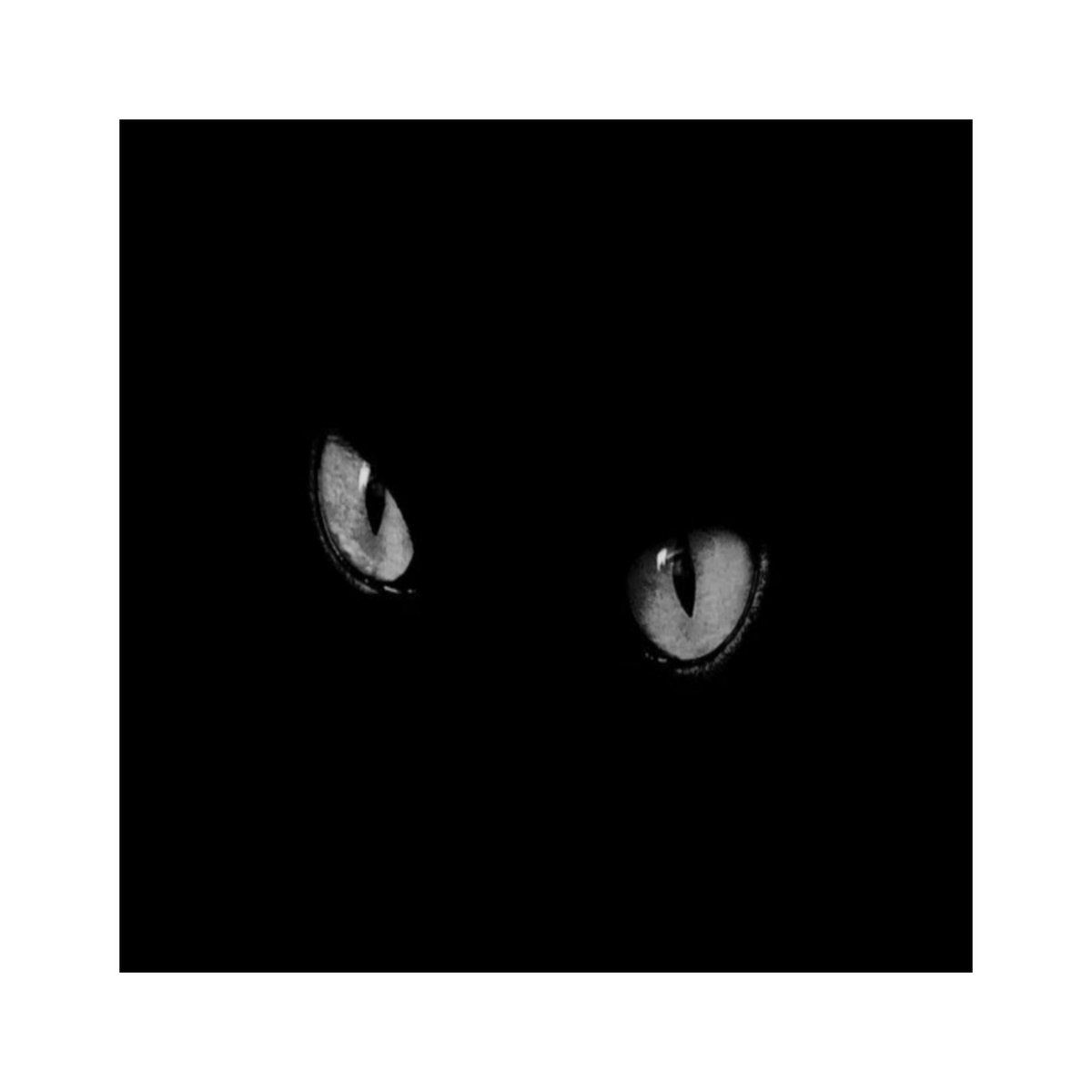 kxrocat's tweet photo. ➘
          ❛ ʏᴏᴜ ᴡᴀɴɴᴀ ɢᴇᴛ ᴀʜᴇᴀᴅ? 
  ꜰᴏᴏʟꜱ ᴛʜᴀᴛ ʀᴜɴ ᴛʜᴇɪʀ ᴍᴏᴜᴛʜꜱ ᴏꜰꜰ 
                  ᴡɪɴᴅ ᴜᴘ ᴅᴇᴀᴅ! ❜

            ᴅᴇᴛᴀɪʟᴇᴅ ╱ ʟɪᴛᴇʀᴀᴛᴇ.
                    #BleachRP
    • ᴅᴏ ɴᴏᴛ ʀᴇᴘʟʏ ᴛᴏ ᴛʜɪs ᴛʜʀᴇᴀᴅ • https://t.co/Pw180vSYaK