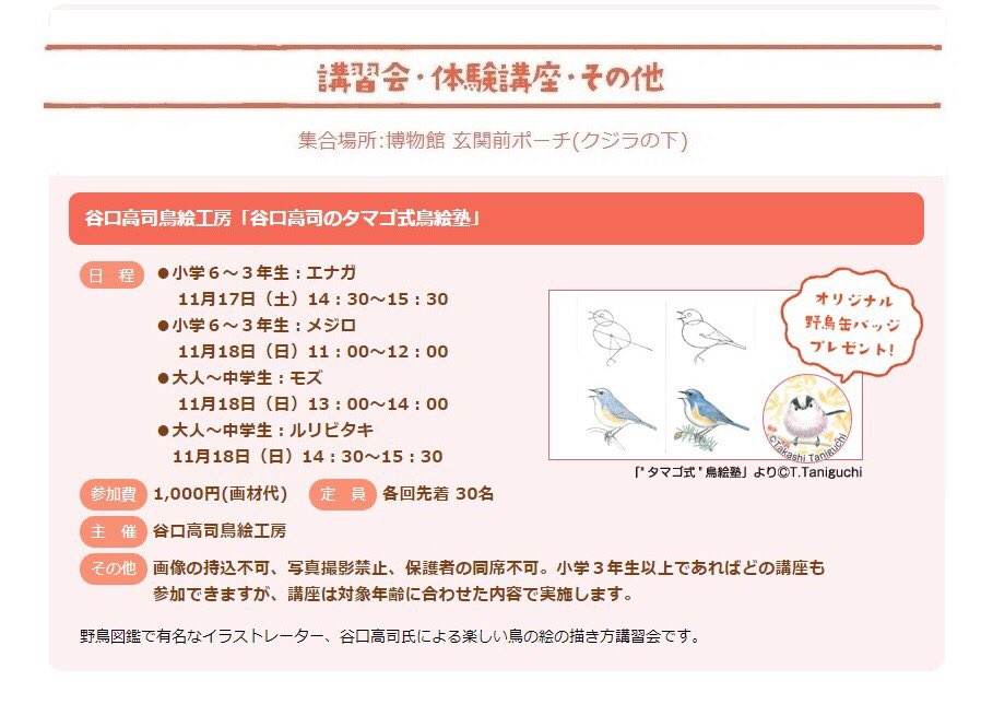 はくラボ 認定npo法人大阪自然史センター イベント情報 11月17日 土 18日 日 谷口高司のタマゴ式鳥絵塾 野鳥図鑑で有名なイラストレーター 谷口高司氏による楽しい鳥の絵の描き方講習会です 参加者にはオリジナルの野鳥缶バッジをプレゼントし