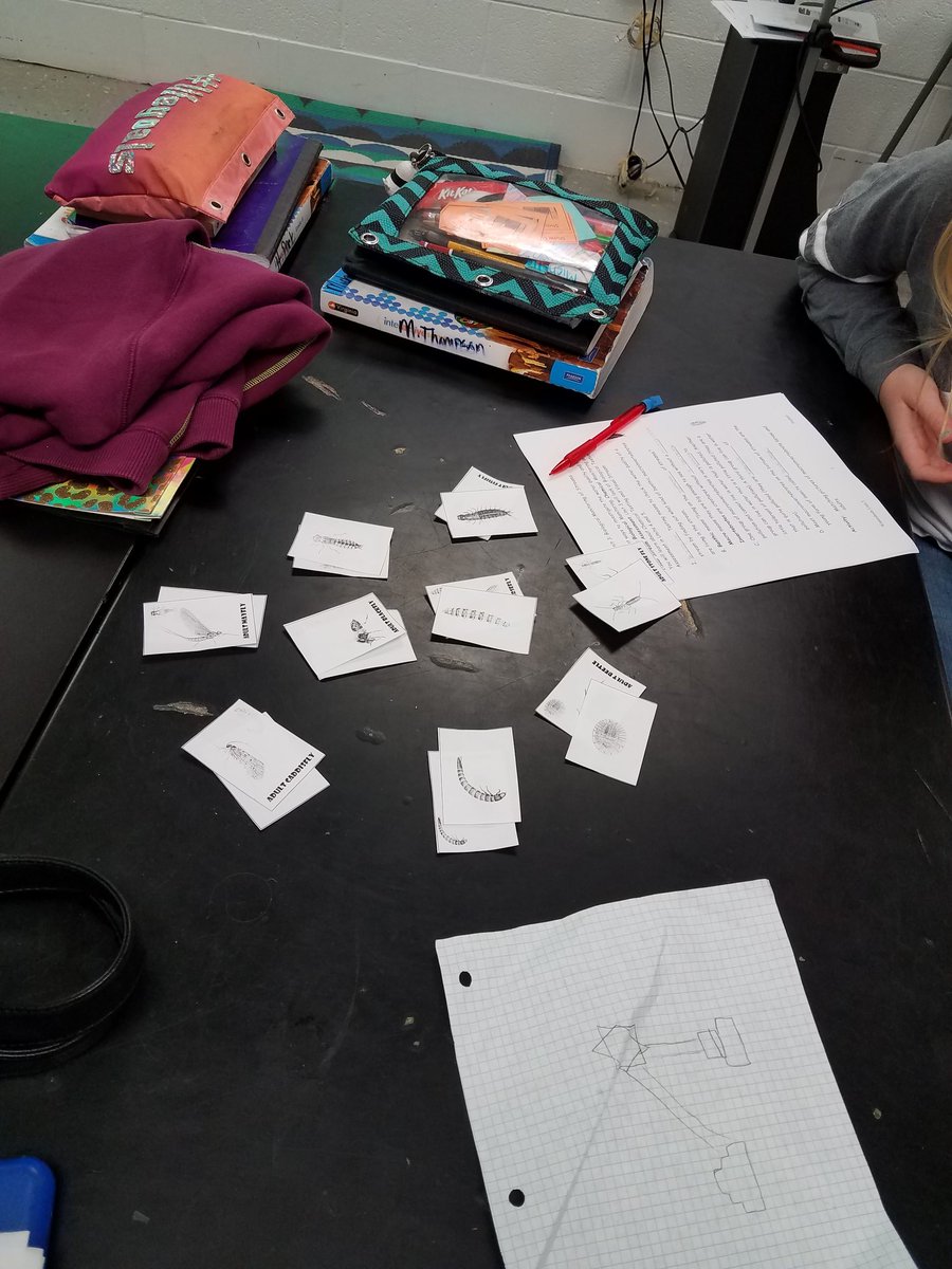 kadamswms's tweet photo. 6th grade science students played a card game to identify benthic macroinvertebrates. @Brynn_Welch_17 @StephanieDeNic1 @MCPSk12 https://t.co/QFNkRgpVAQ