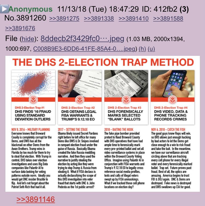 Anon DHS election trap theory graphic!!  #QAnon  #ElectionFraud  @realDonaldTrump
