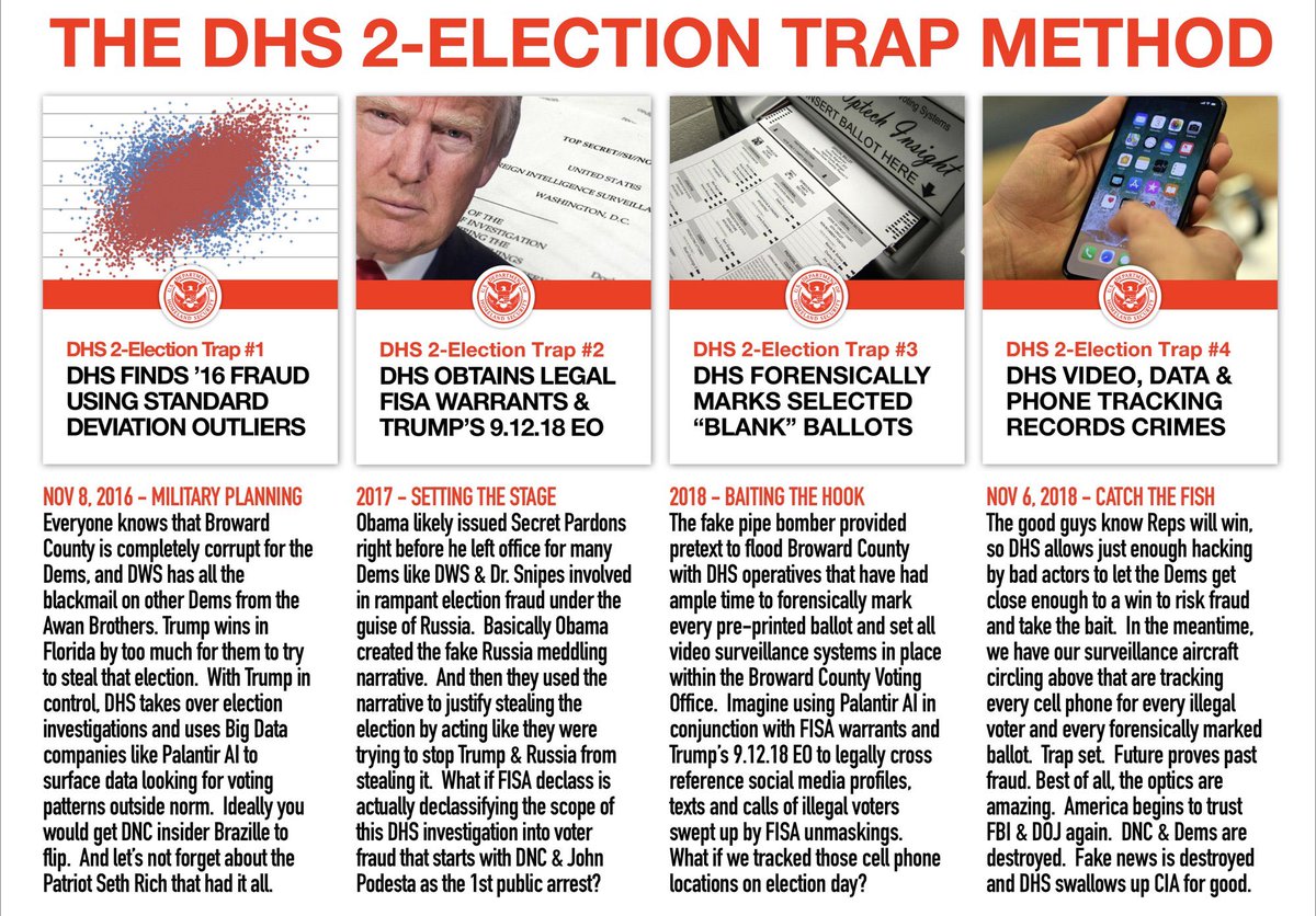 Anon DHS election trap theory graphic!!  #QAnon  #ElectionFraud  @realDonaldTrump
