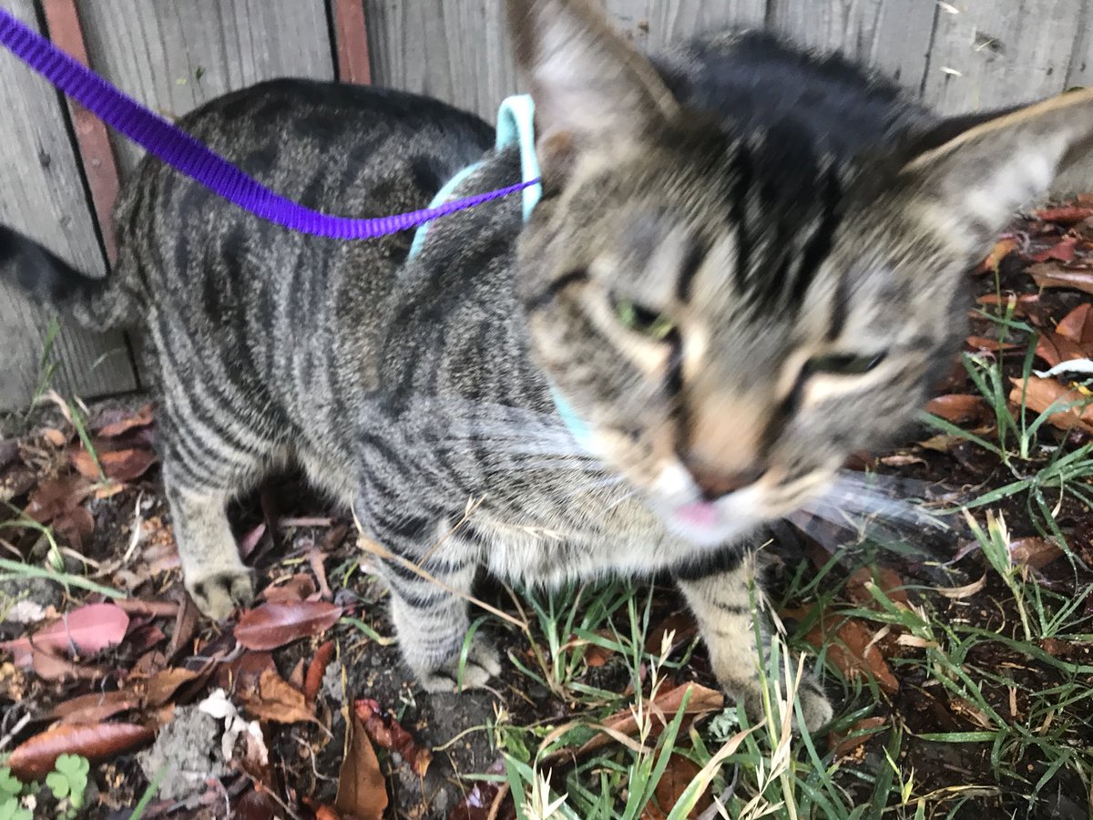 Favorite season?🤔