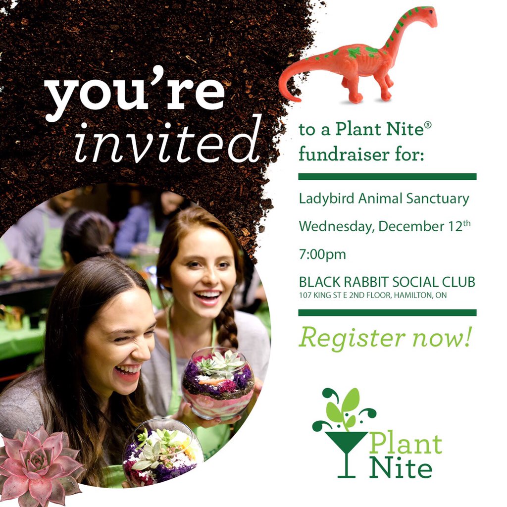 Ladybird Animal Sanctuary (@lbas2010) on Twitter photo Wed. Dec. 12 -7pm, @plantnite & Ladybird invade <a href="/BlackRabbitSoc/">Black Rabbit Social Club</a> (107 King St. E, 2nd fl #Hamilton) with everything you need to create a gorgeous terrarium. 🌱
Proceeds will help save the lives of homeless animals in our community.
Get your 🎟 plantnite.com/events/coming-…
#hamont Wed. Dec. 12 -7pm, @plantnite & Ladybird invade <a href="/BlackRabbitSoc/">Black Rabbit Social Club</a> (107 King St. E, 2nd fl #Hamilton) with everything you need to create a gorgeous terrarium. 🌱
Proceeds will help save the lives of homeless animals in our community.
Get your 🎟 plantnite.com/events/coming-…
#hamont