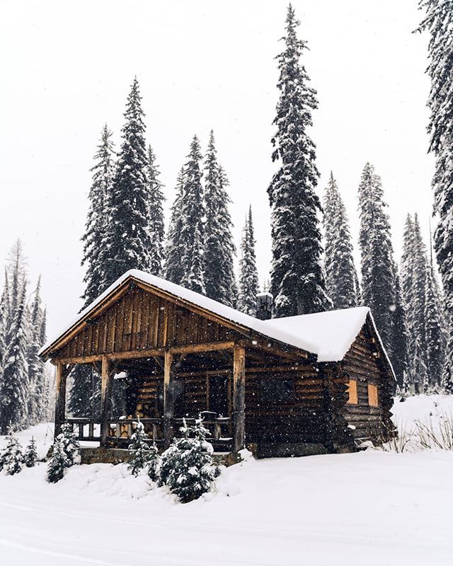 HazerLive's tweet photo. There aren't many things I find more aesthetically pleasing than cabin with fresh snow falling through the trees. It's something I've felt embodies Montana. Even as a kid the first big snowfalls were something I loved. #montanamoment #montana #bestofmont… https://t.co/pf1cyfQW6K https://t.co/KL9ZfJmHaf