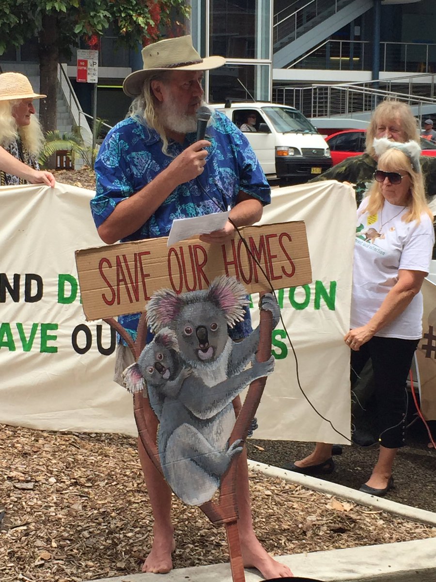 Elly Bird tweet media