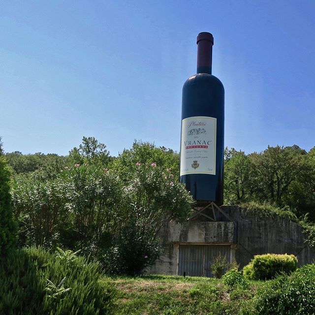 WorldRider's tweet photo. | A view of sorts from the largest vineyard in all of Europe. Don’t miss it nor tasting the Vranac ⠀
—⠀
#Kotor #montenegro #bayofkotor #balkans #Plantaze #Vranac #wine ⠀
⠀
#worldrider #travelwriter #ridingtheworld #aroundtheworld #everyco… https://t.co/bJvPrZ1siK https://t.co/ycjp9plFm5
