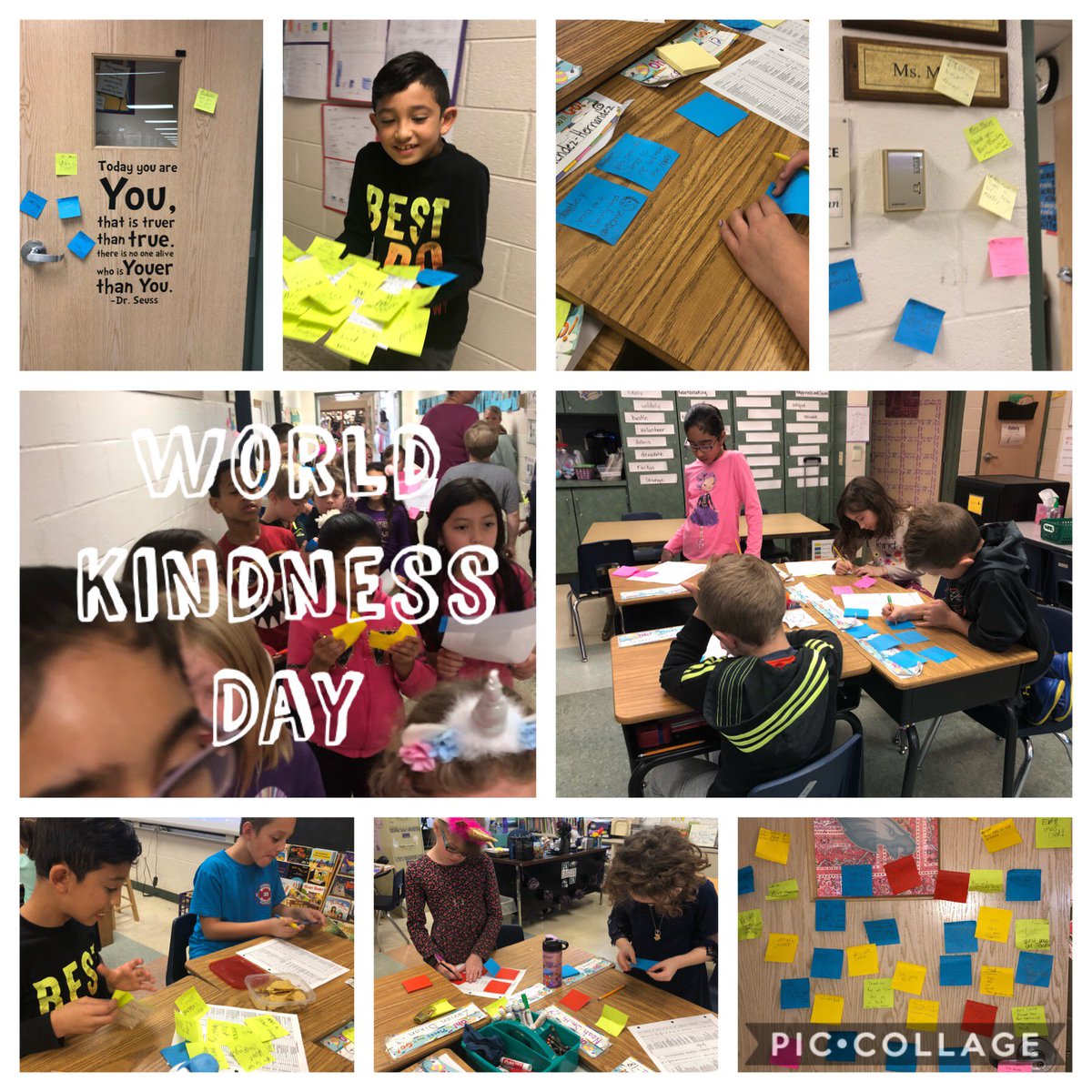 Erika Lynch tweet media