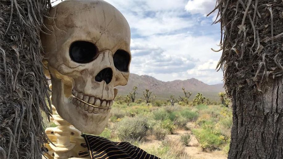 26+ Foto Keren Tengkorak Api - Gambar Keren HD