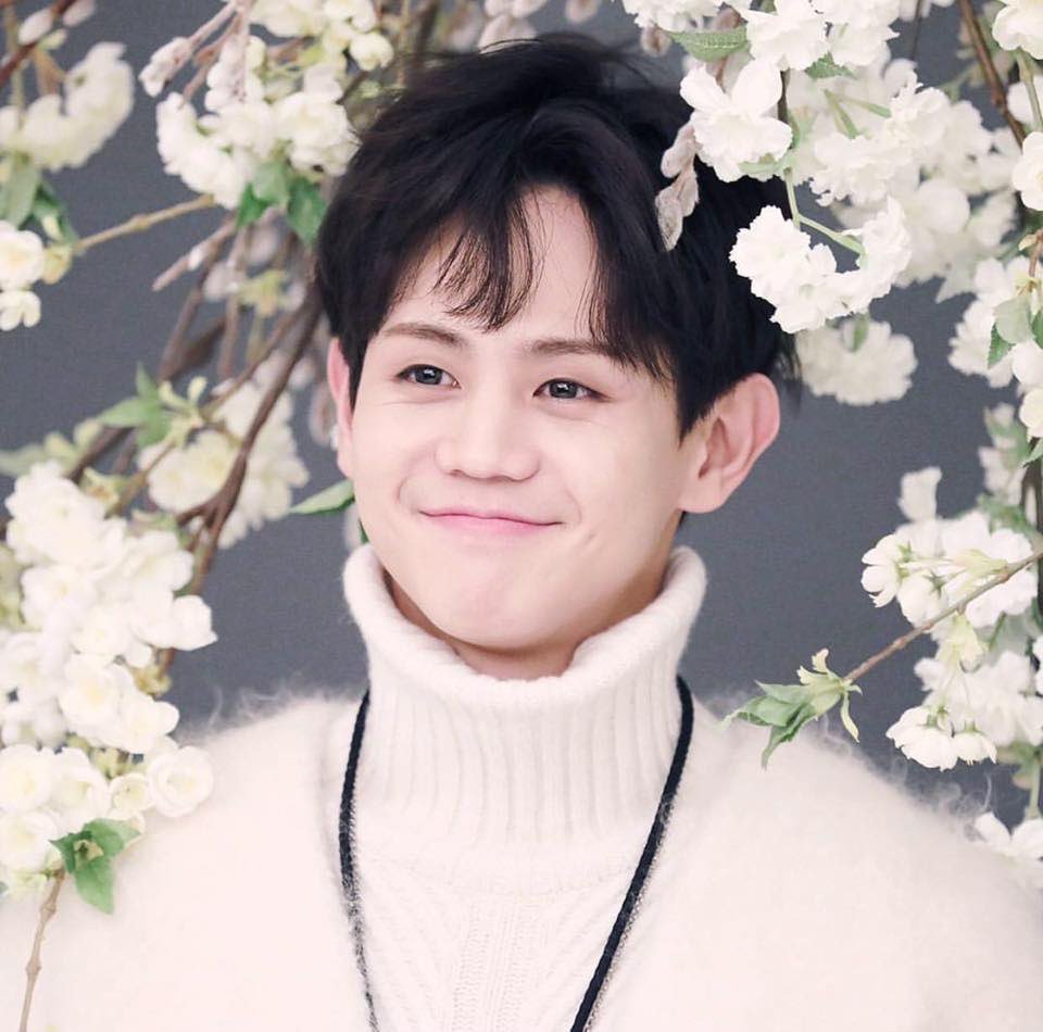 Yang Yoseob — Highlight- him: is actually a grown man- me: wow my baby- he’s literally almost 30 - BUT THE MOST PR E C I O U S