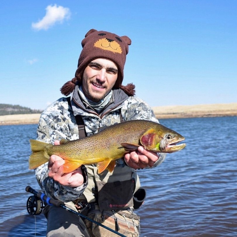 AnglersPeak's tweet photo. Sweet Cutty Yogi Bear!!😄🙌🏼🙌🏼🔥
@nathansidoti
*
📸intothewildwego
*
*
#cutthroattrout #flyfishing #flyfish #flyandstream #troutfishing #fishing #cutthroat #flyfishingjunkie #onthefly… https://t.co/s1ysjcj34m https://t.co/Iezti2JMew