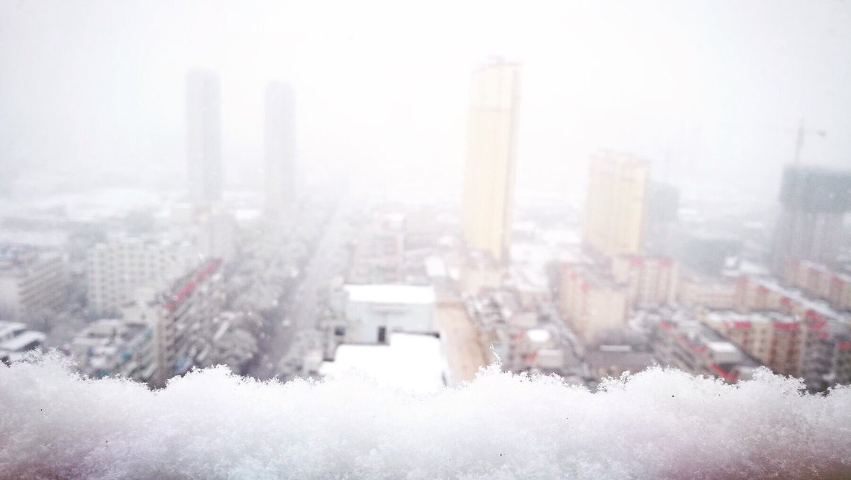 Smartcloud6's tweet image. Snow day
#photooftheday #photography #photo #snow #city #cityscape