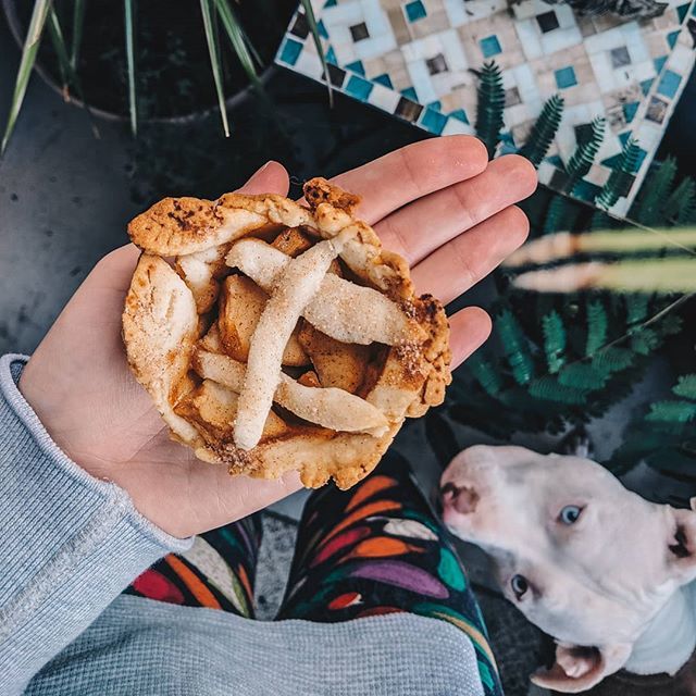 geeko_friendly's tweet image. There is absolutely nothing healthy about this post other than the apples hidden way down in this mini pie! But alas I still ate it! 🥧😍 The best thing about my fitness program I&apos;m on is I am given a meal plan and am able to schedule in my cheat meals… ift.tt/2TbCaSD