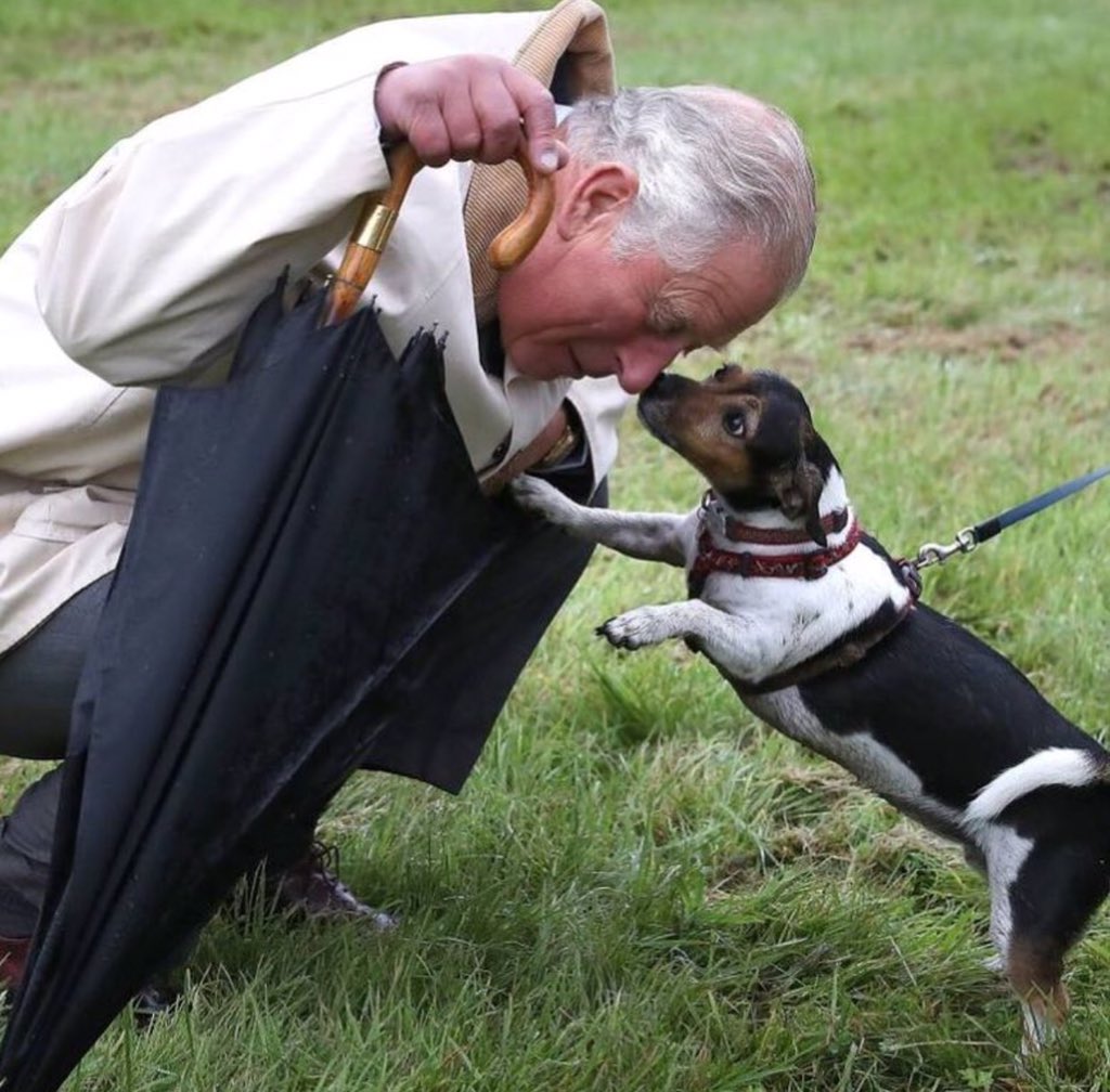   Happy Birthday HRH Prince Charles of Wales!   