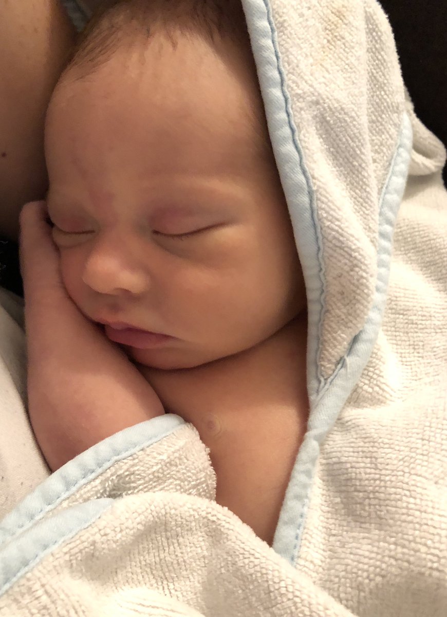 BarnesMusicRoom's tweet photo. Soaking up all the baby snuggles, especially with all this cold weather! #oneweekold #firstbathathome #letshibernate https://t.co/4evZcxWGVO