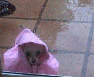 HelloAgustin's tweet image. -Qué haces acá?
-Pusiste en Twitter que estaba lindo para cucharear